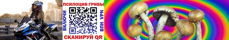 ОМГ ОМГ вход  Бабушкин  Псилоцибиновые грибы мицелий 